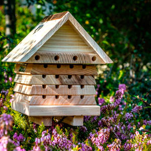 Interactive Solitary Bee House