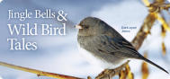 EDU Jingle Bells & Wild Bird Tales 1912E