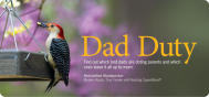 EDU Bird Dads 2206E